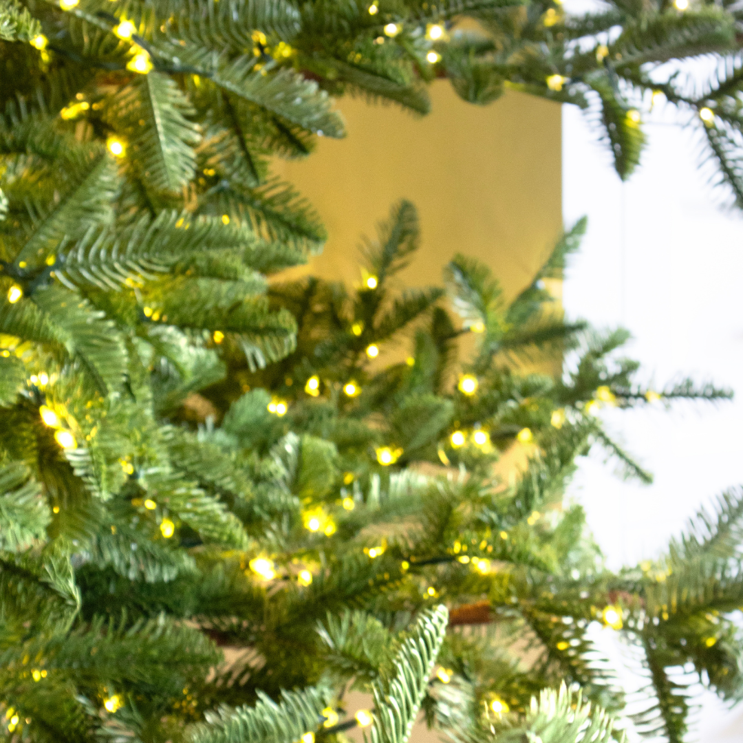 Albero di Natale Rockefeller Led by Salvatore Izzo