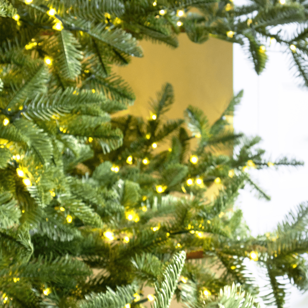 Albero di Natale Rockefeller Led by Salvatore Izzo - Perrone Shop