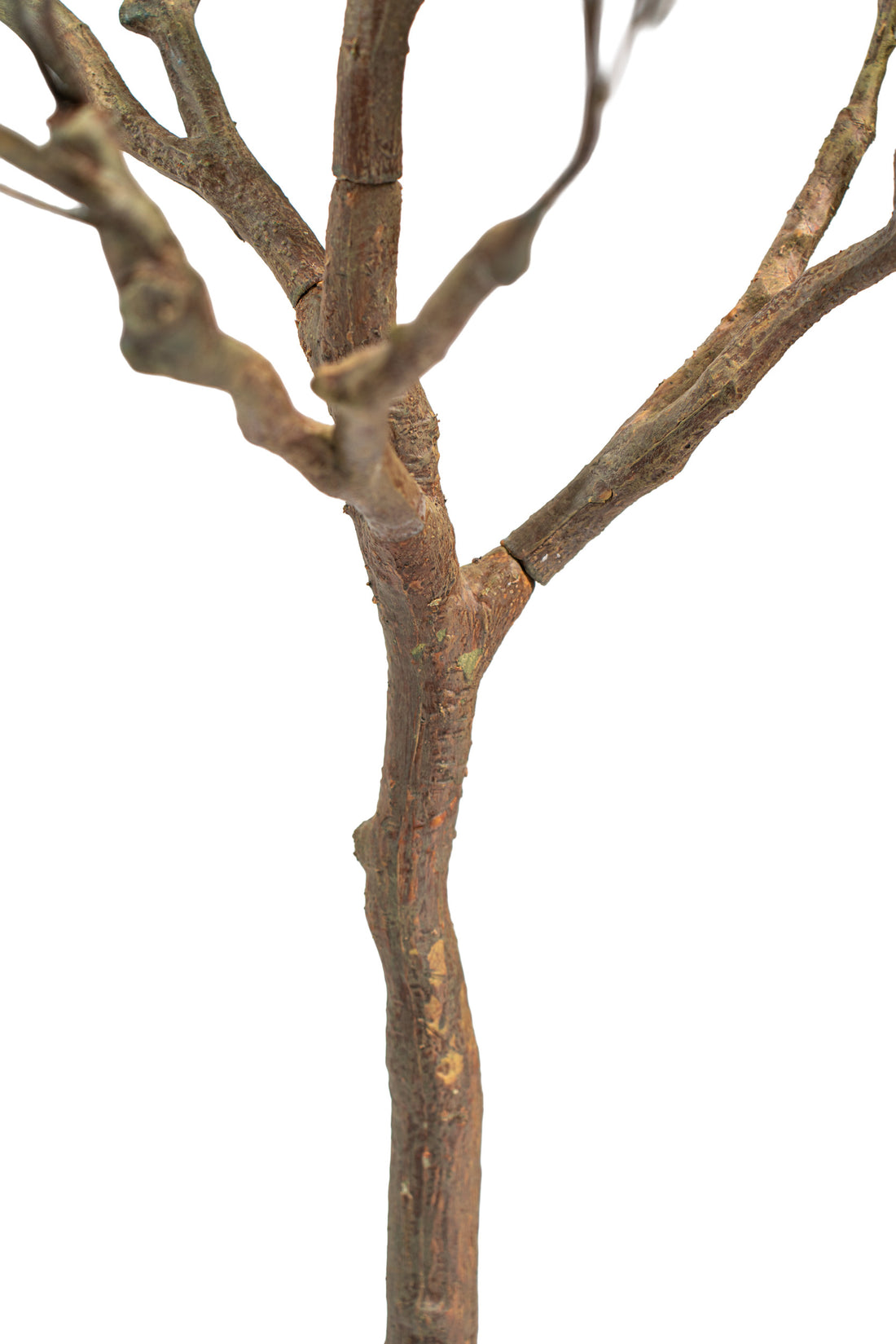 Pianta artificiale Shady Lady by Salvatore Izzo | Xone