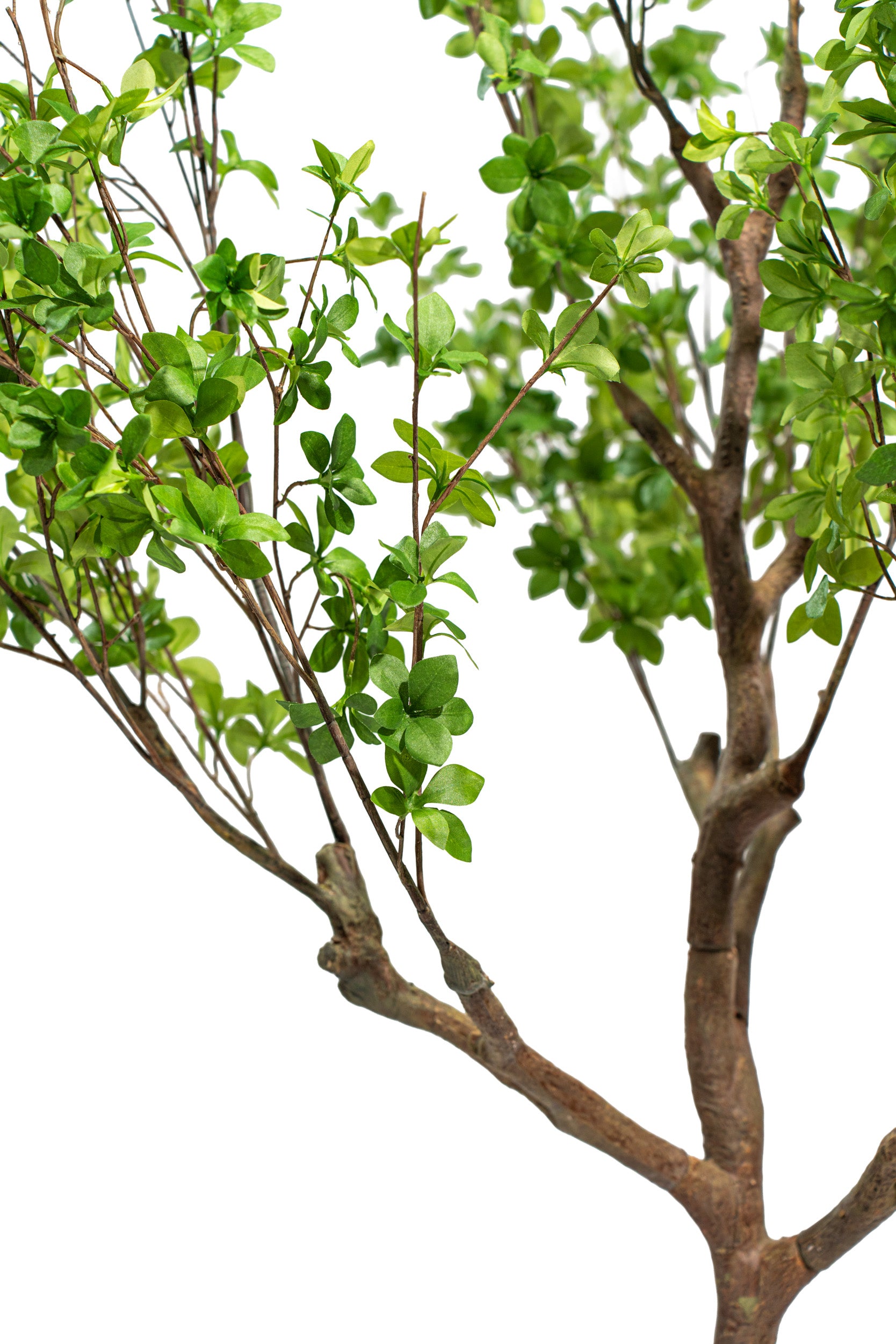 Pianta artificiale Shady Lady by Salvatore Izzo | Xone