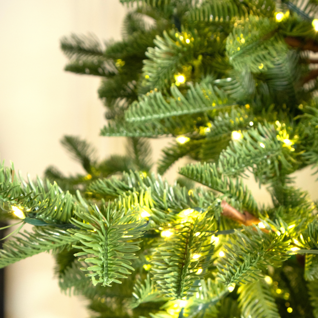 Albero di Natale Rockefeller Led by Salvatore Izzo