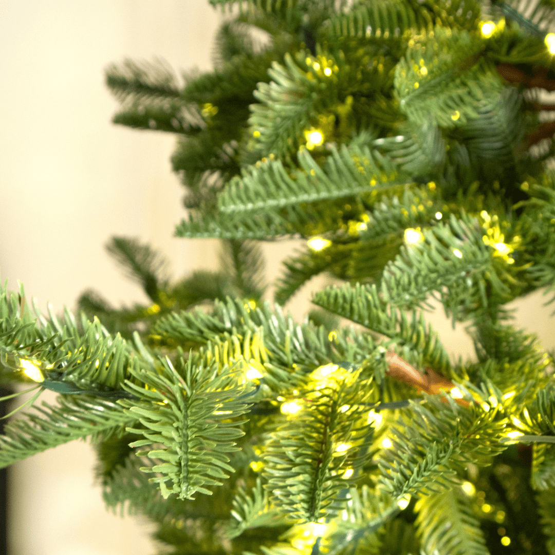 Albero di Natale Rockefeller Led by Salvatore Izzo - Perrone Shop