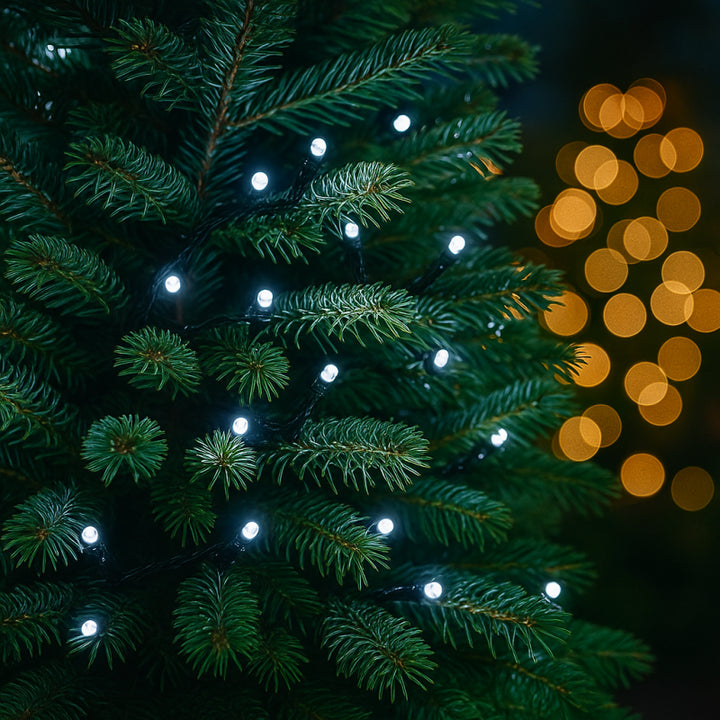 600 LED bianco freddo con controller 26,5 m Lotti