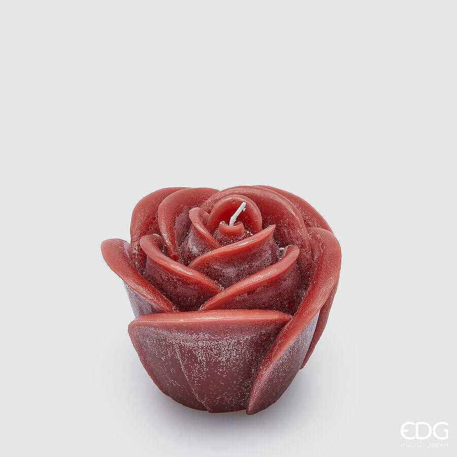 Candela Rose H9cm | EDG - Perrone Shop