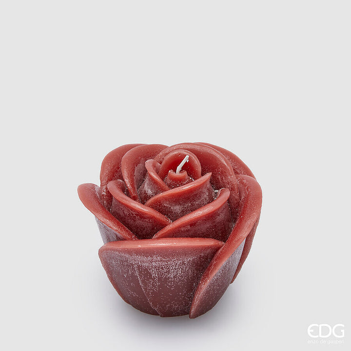 Candela Rose H9cm | EDG