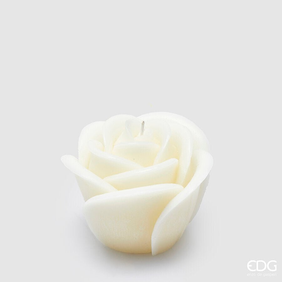 Candela Rose H9cm | EDG - Perrone Shop
