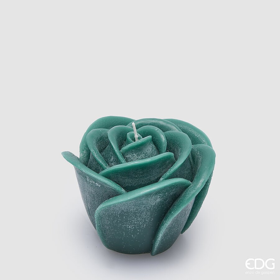 Candela Rose H9cm | EDG - Perrone Shop