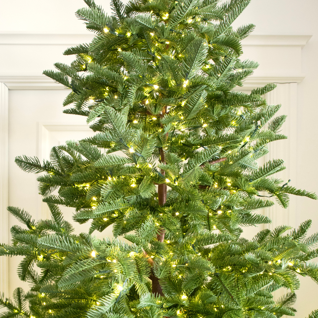 Albero di Natale Rockefeller Led by Salvatore Izzo