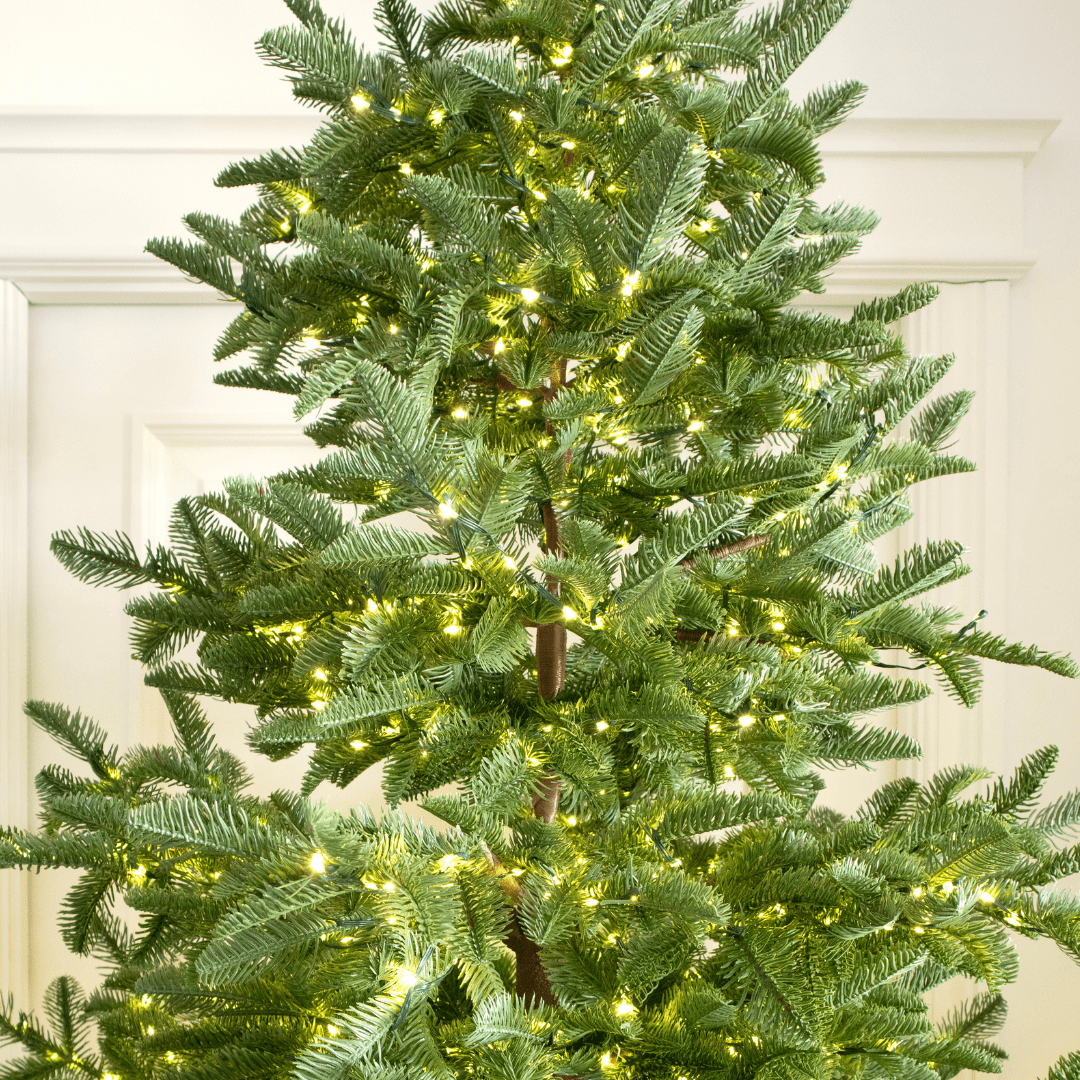 Albero di Natale Rockefeller Led by Salvatore Izzo - Perrone Shop