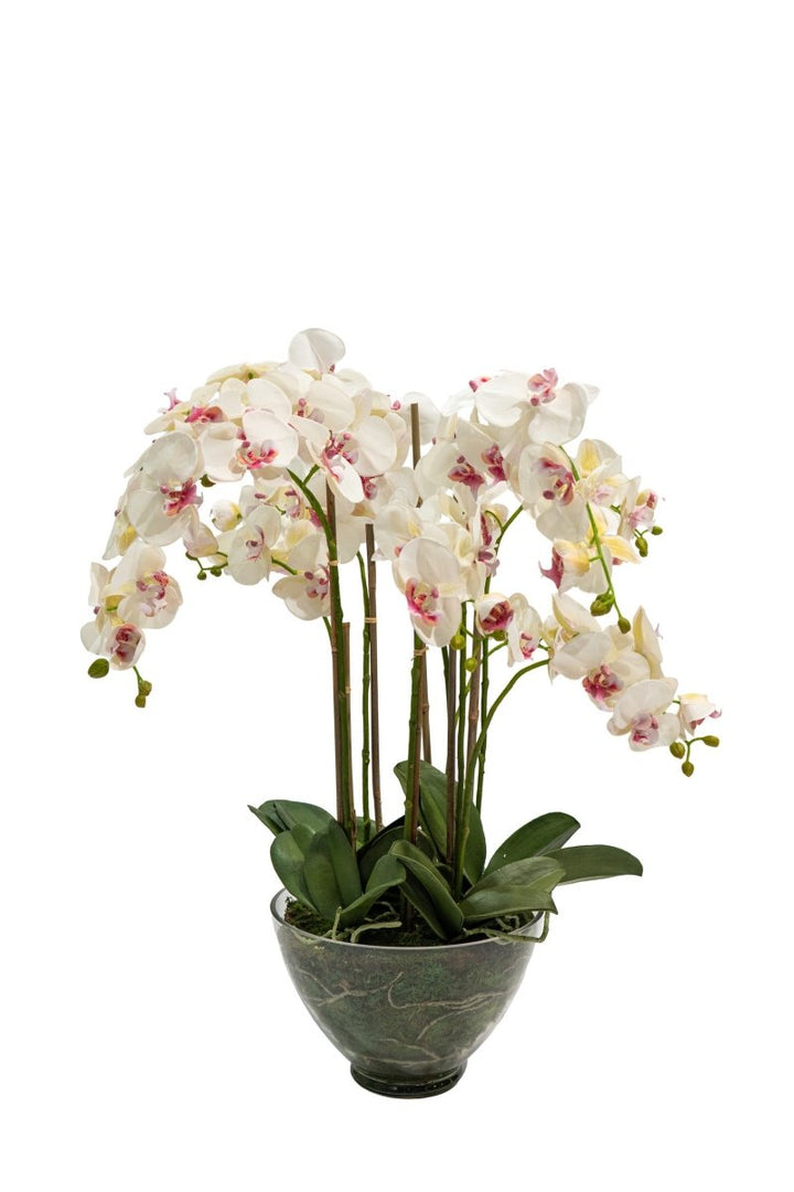 Orchidea Phalaenopsis artificiale in vaso di vetro con altezza 85cm Xone | Perrone Shop - Perrone Shop