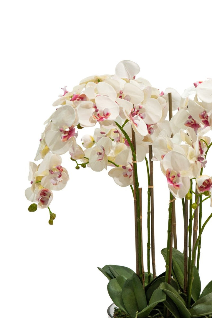Orchidea Phalaenopsis artificiale in vaso di vetro con altezza 85cm Xone | Perrone Shop - Perrone Shop