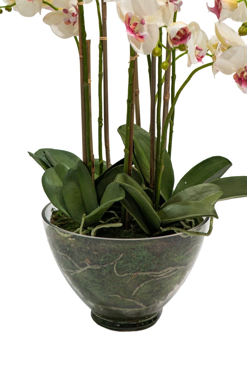 Orchidea Phalaenopsis artificiale in vaso di vetro con altezza 85cm Xone | Perrone Shop - Perrone Shop