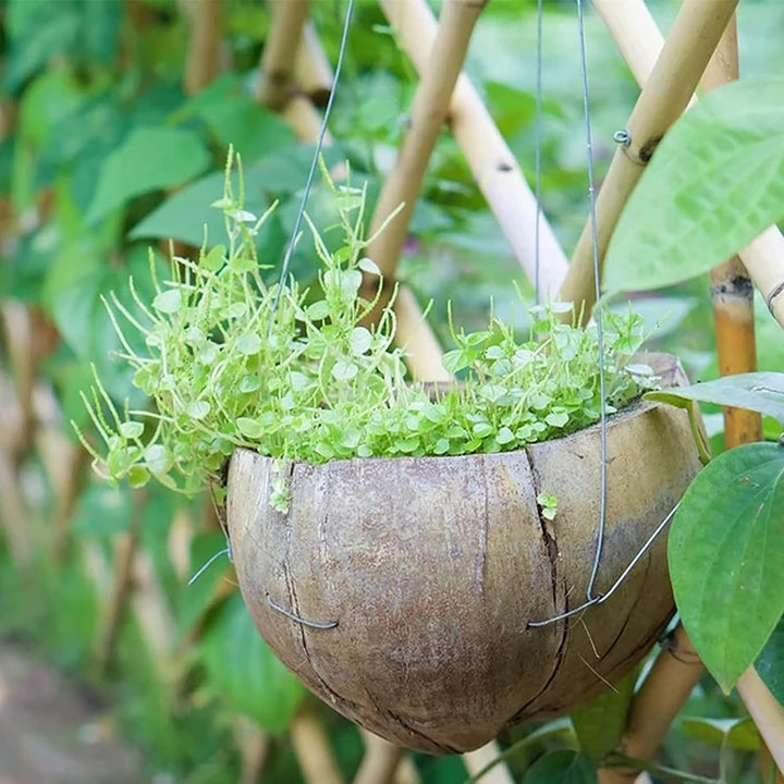 Filo Zincato Multiuso Resistente – Ideale per Esterno e Recinzioni
