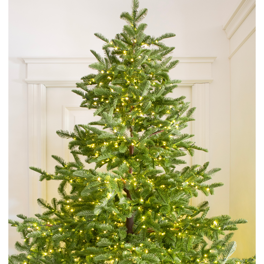 Albero di Natale Rockefeller Led by Salvatore Izzo