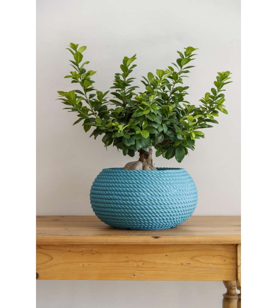Ciotola Bali effetto corda 40 cm - Perrone Shop