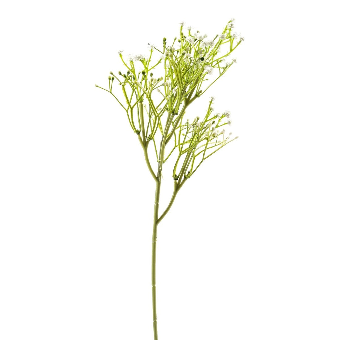 Pick fiori di campo Bianco H55cm - Perrone Shop