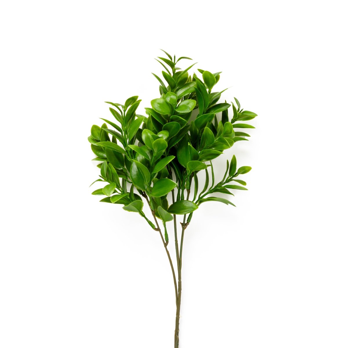 Pick pianta artificiale verde H.62CM - Perrone Shop