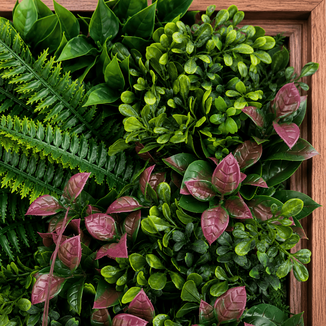 Siepe Quadro Verde Artificiale Decorativo Summer Frame 50x50cm | Xone - Perrone Shop