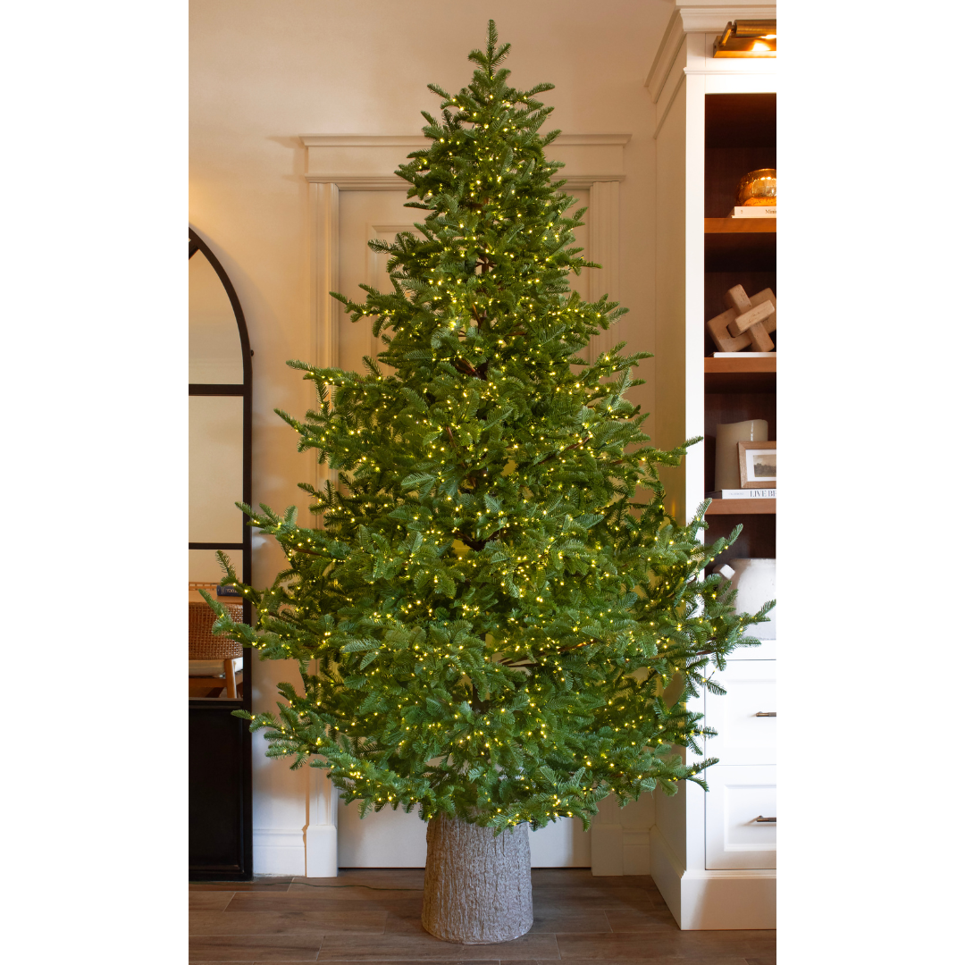 Albero di Natale Rockefeller Led by Salvatore Izzo