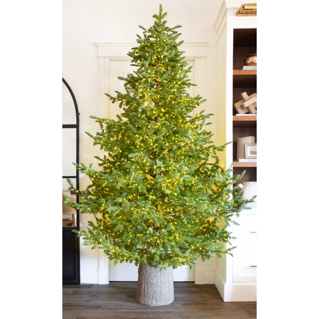 Albero di Natale Rockefeller Led by Salvatore Izzo