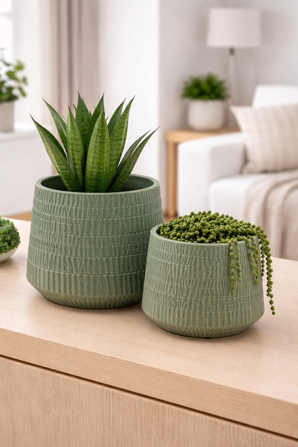 Vaso cachepot effetto graffiato salvia | EDG