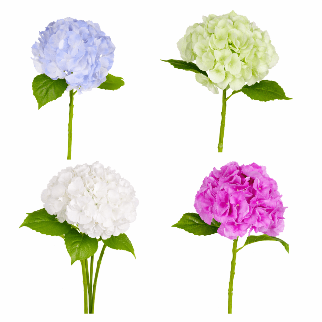 Ramo Ortensia artificiale H60cm - Perrone Shop
