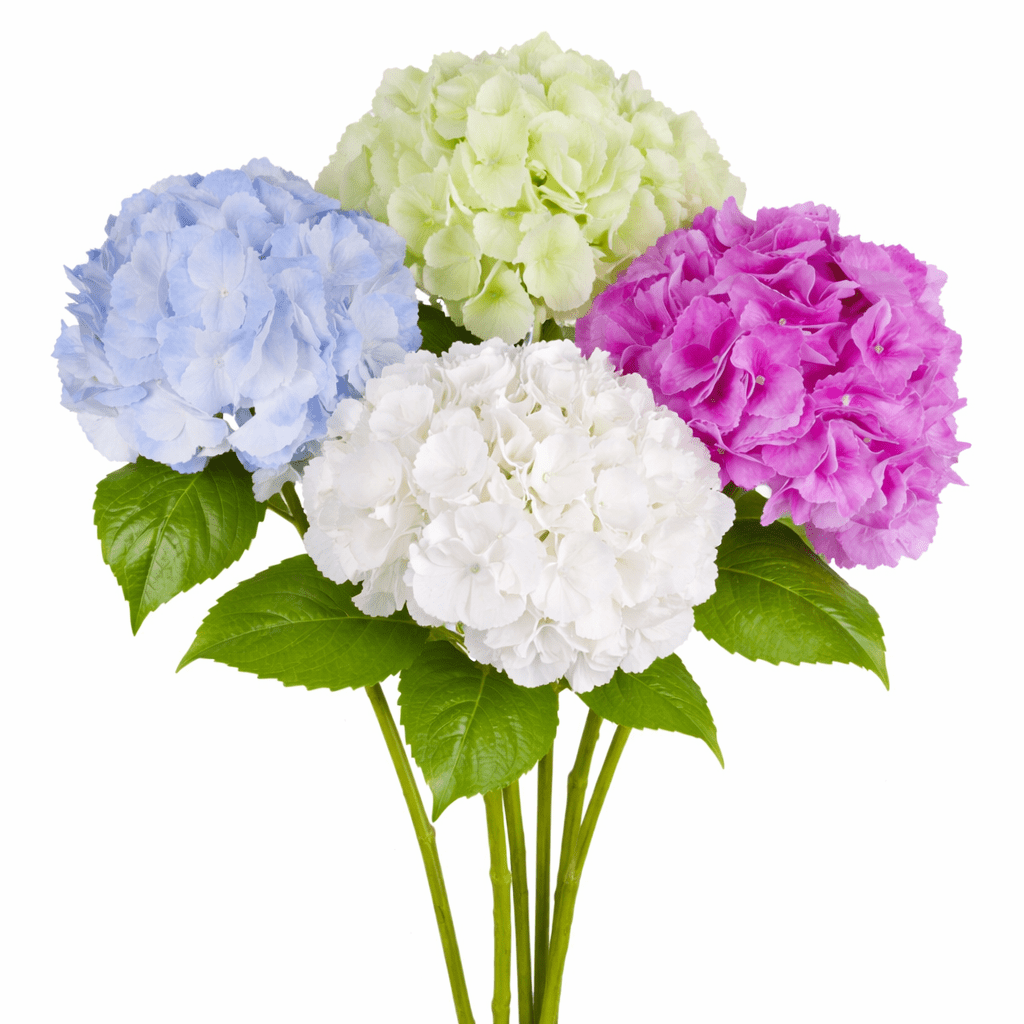 Ramo Ortensia artificiale H60cm - Perrone Shop
