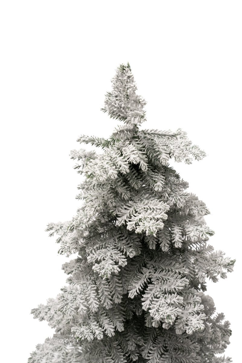 Pinetto Linus Innevato in polietilene | Xone - Perrone Shop
