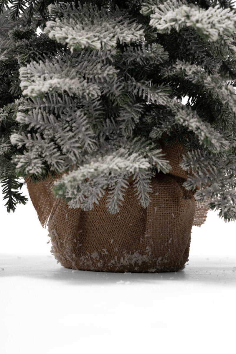 Pinetto Linus Innevato in polietilene | Xone - Perrone Shop