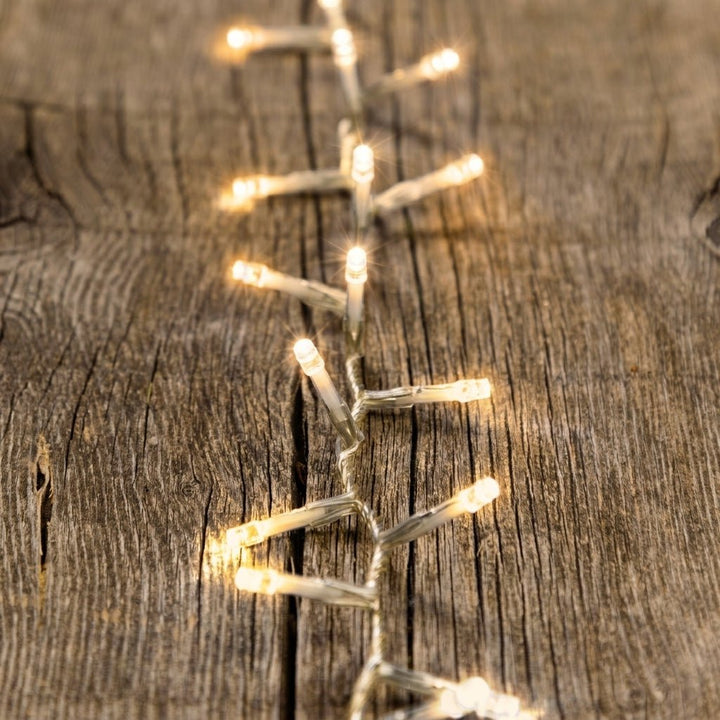 Dettaglio LED Reflex 5 mm bianco caldo Lotti