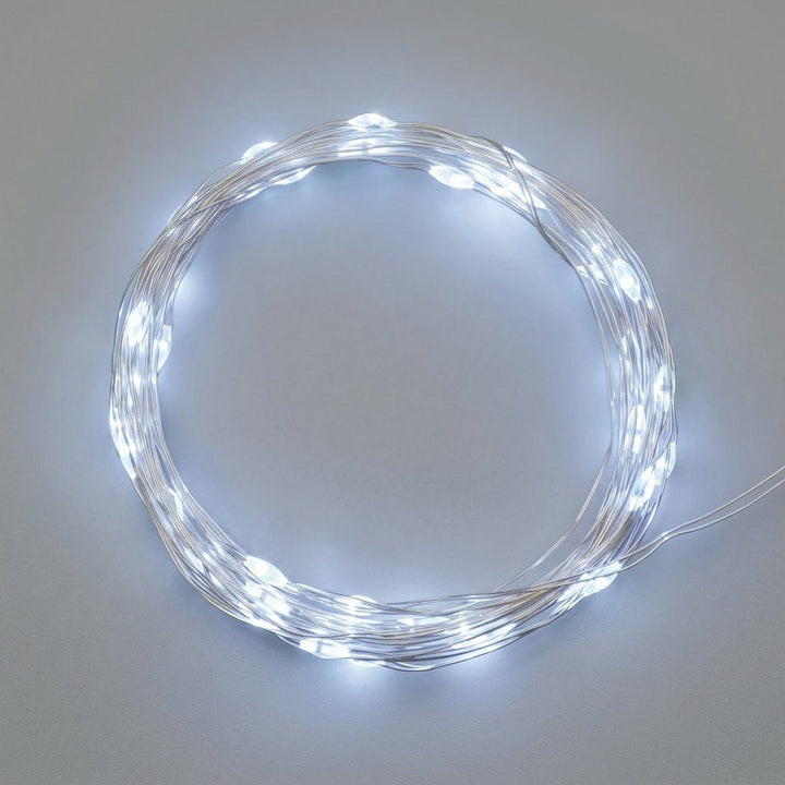 Catena 40 MicroLED Bianco Freddo 4 m a Batteria | Lotti - Perrone Shop