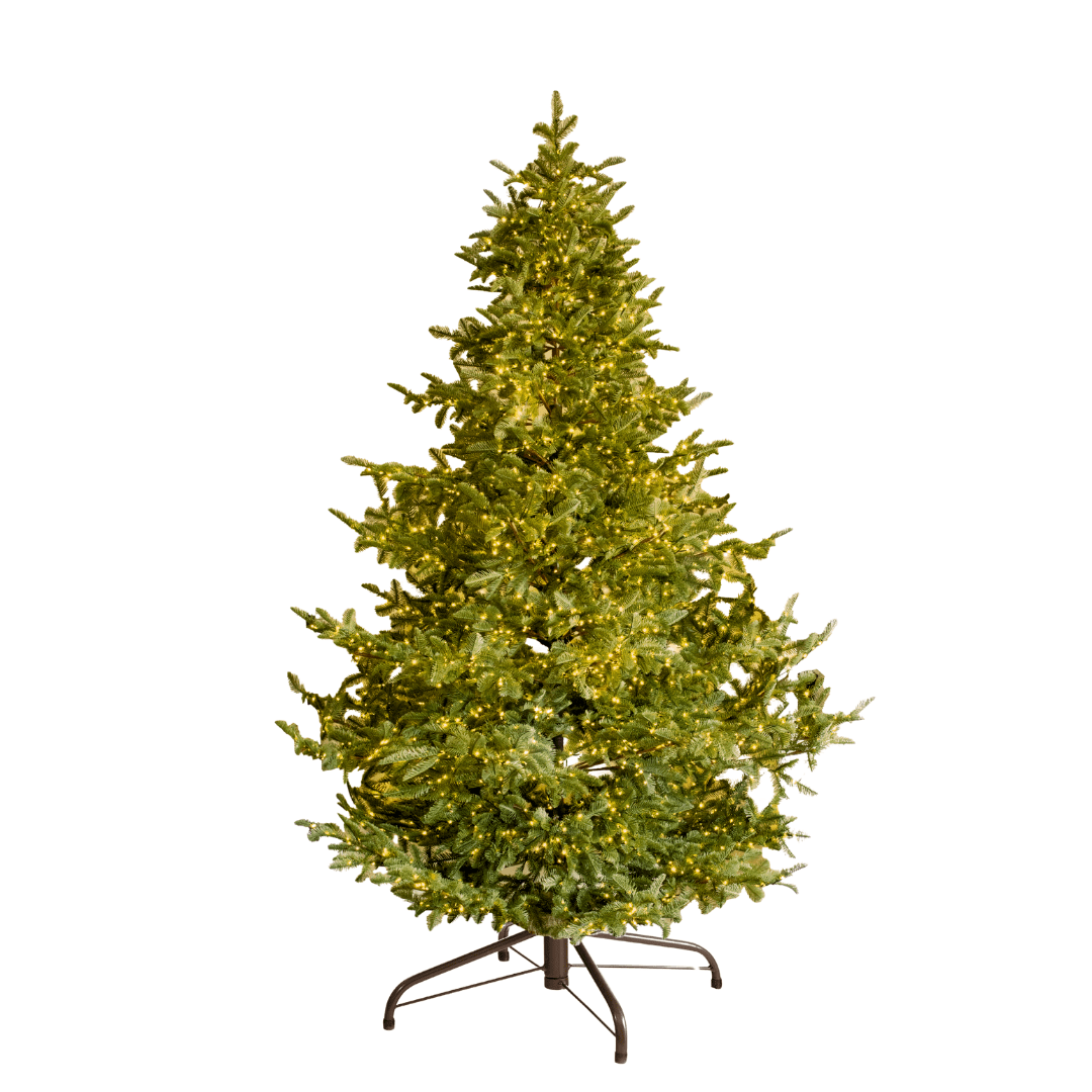 Albero di Natale Rockefeller Led by Salvatore Izzo - Perrone Shop