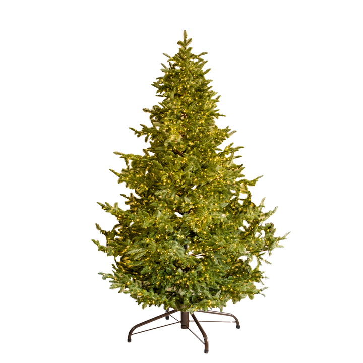 Albero di Natale Rockefeller Led by Salvatore Izzo