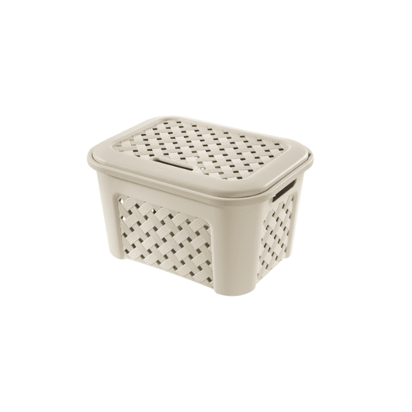 Cesto Portabiancheria Arianna con coperchio 25L