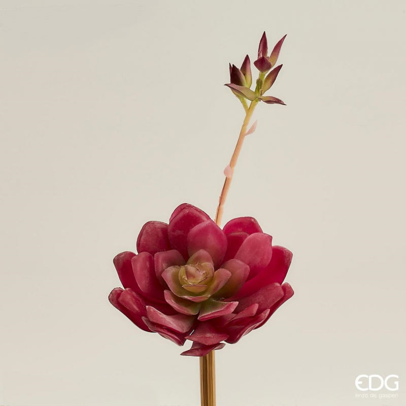 Fiore artificiale Aeonium Chic h27cm EDG