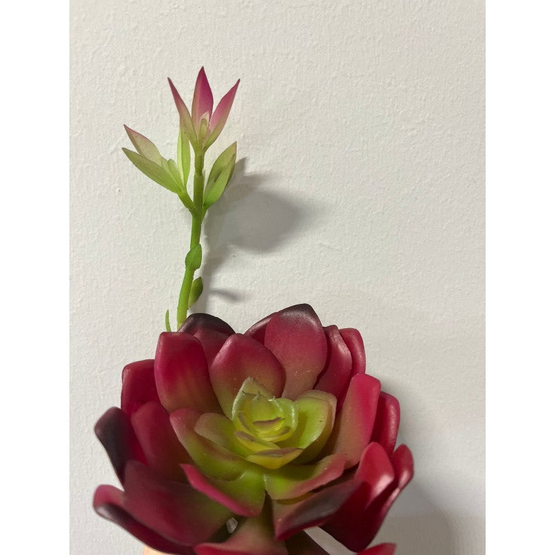 Fiore artificiale Aeonium Chic h27cm EDG