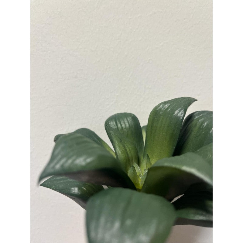 Pianta artificiale Agave Bell Pick 16h cm EDG