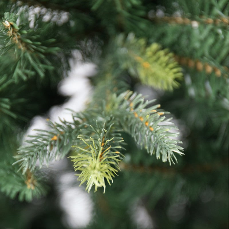 Albero di Natale artificiale Arthur, tradizionale con chioma verde smeraldo | Xone