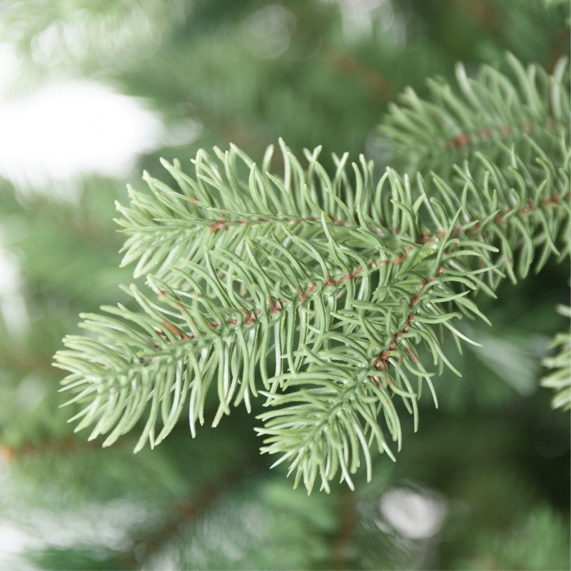 Albero di Natale artificiale Barnaby, realistico e facile da montare | Xone