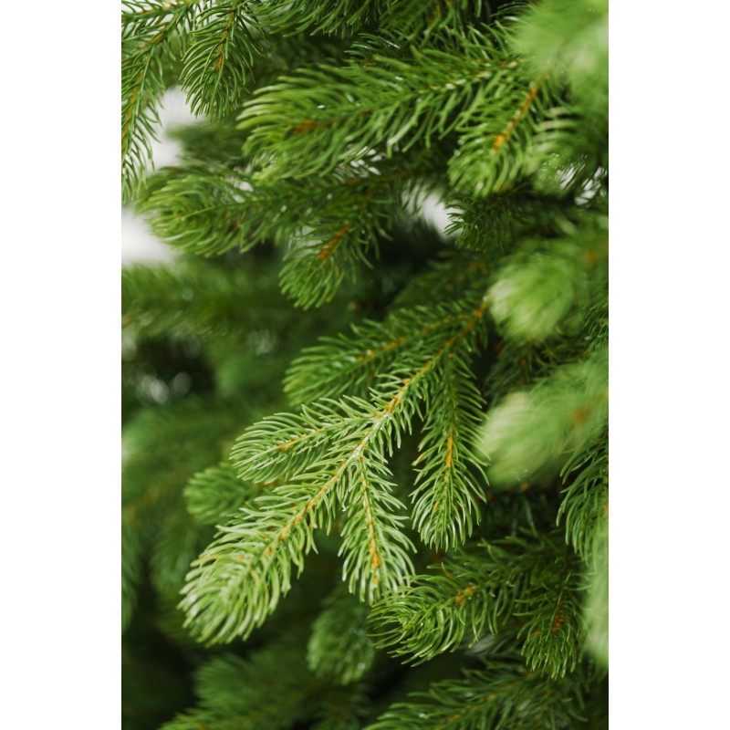 Albero di Natale Bernard - Chioma generosa ed effetto naturale | Xone