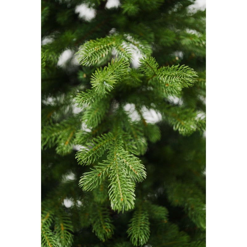 Albero di Natale Bernard - Chioma generosa ed effetto naturale | Xone