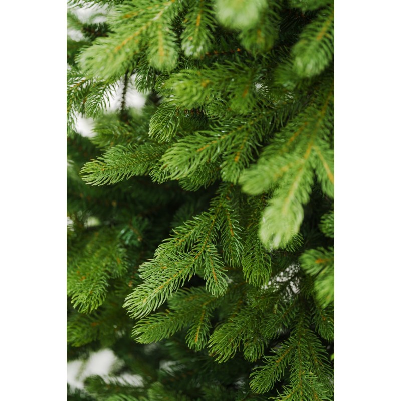 Albero di Natale Bernard - Chioma generosa ed effetto naturale | Xone