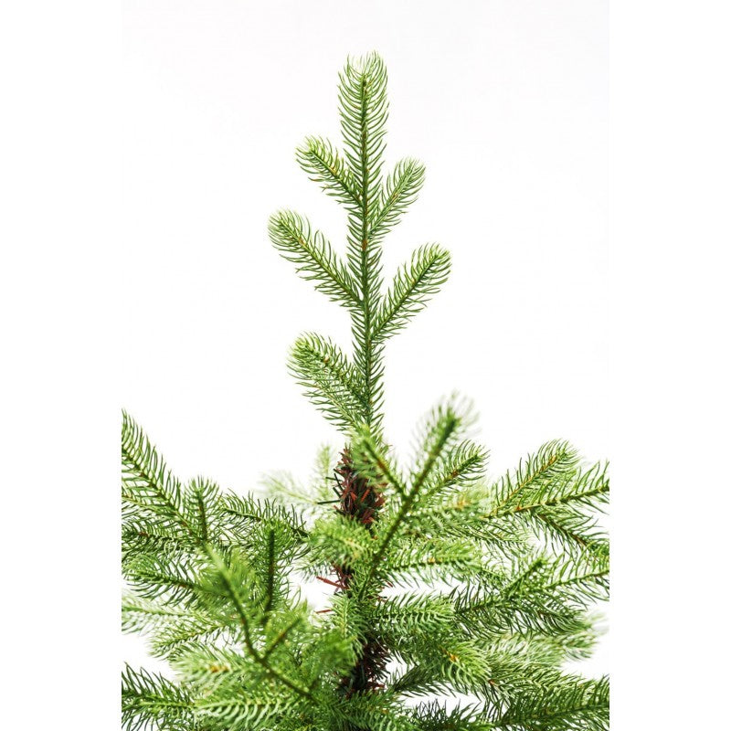 Albero di Natale Bernard - Chioma generosa ed effetto naturale | Xone