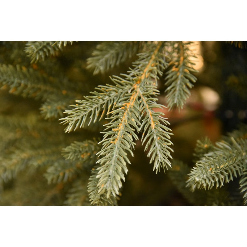 Albero di Natale artificiale Lincoln 100% PE, Abete Real Touch ultra realistico | Xone