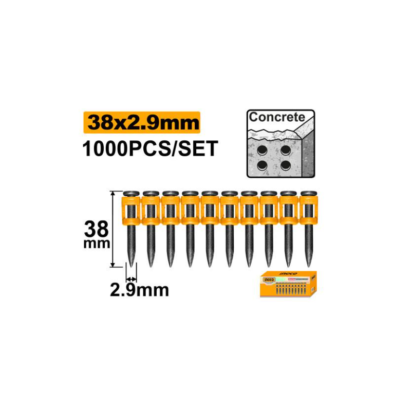 Set 1000pz Chiodi in Acciaio 38x2,9mm