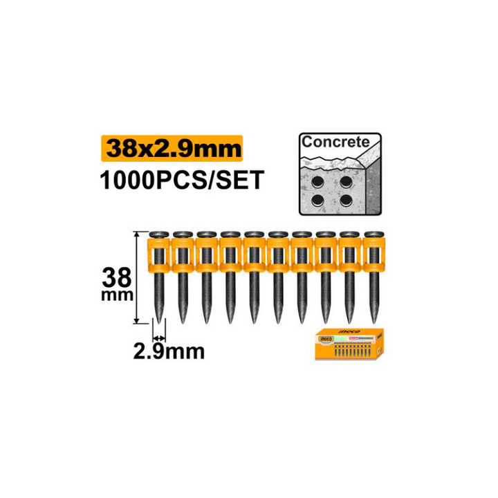 Set 1000pz Chiodi in Acciaio 38x2,9mm