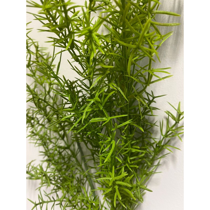 Pianta Asparagus Bell artificiale 70h cm EDG