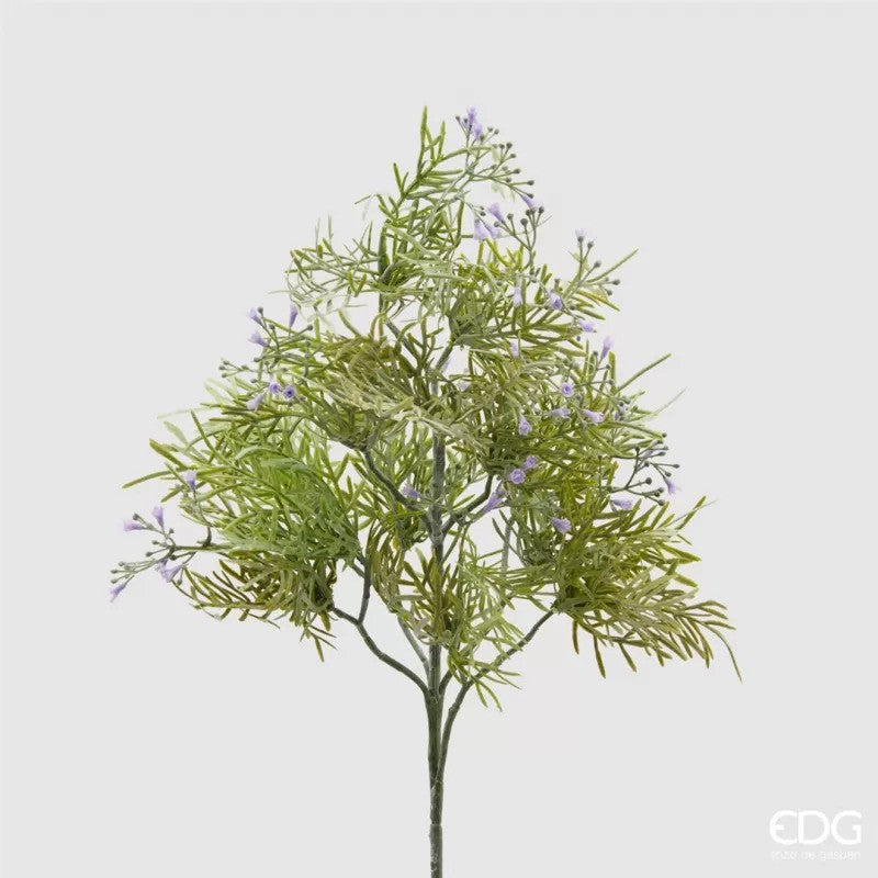 Pianta decorativa Asparagus Bell 42h cm EDG