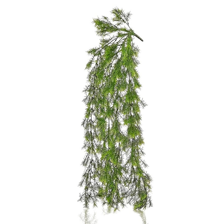 Ramo Asparagus Cadente H85 cm | Enzo De Gasperi