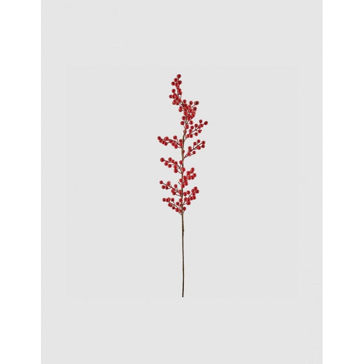 Bacche Ramo  Rosso | EDG